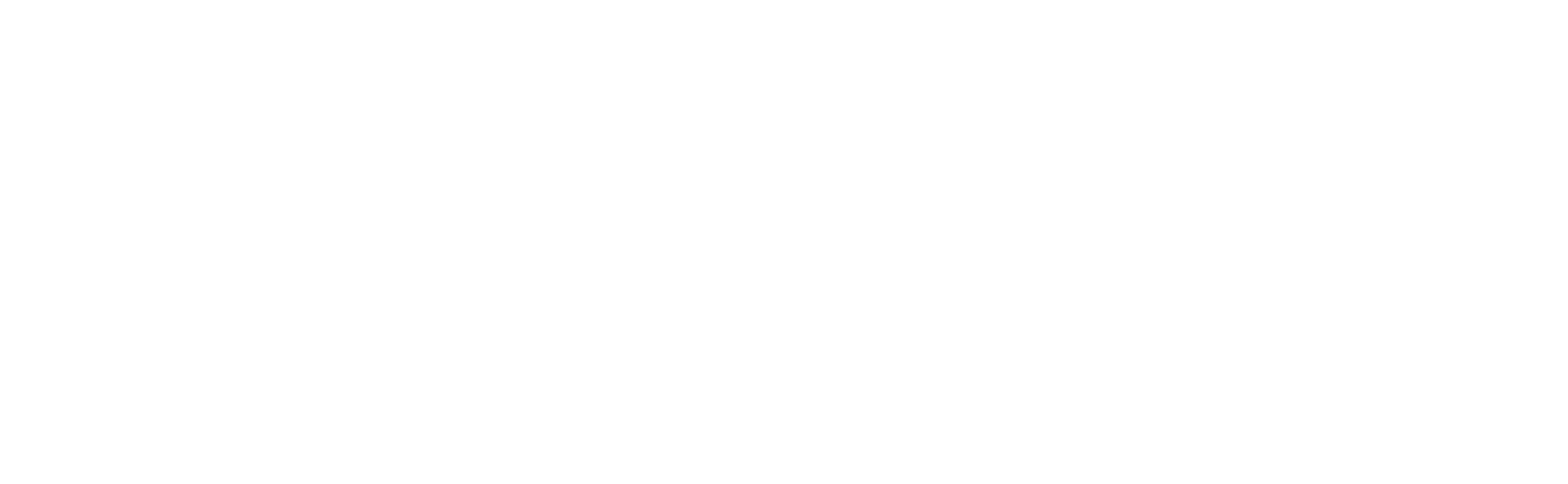 TT V10